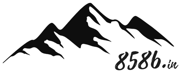 8586.in